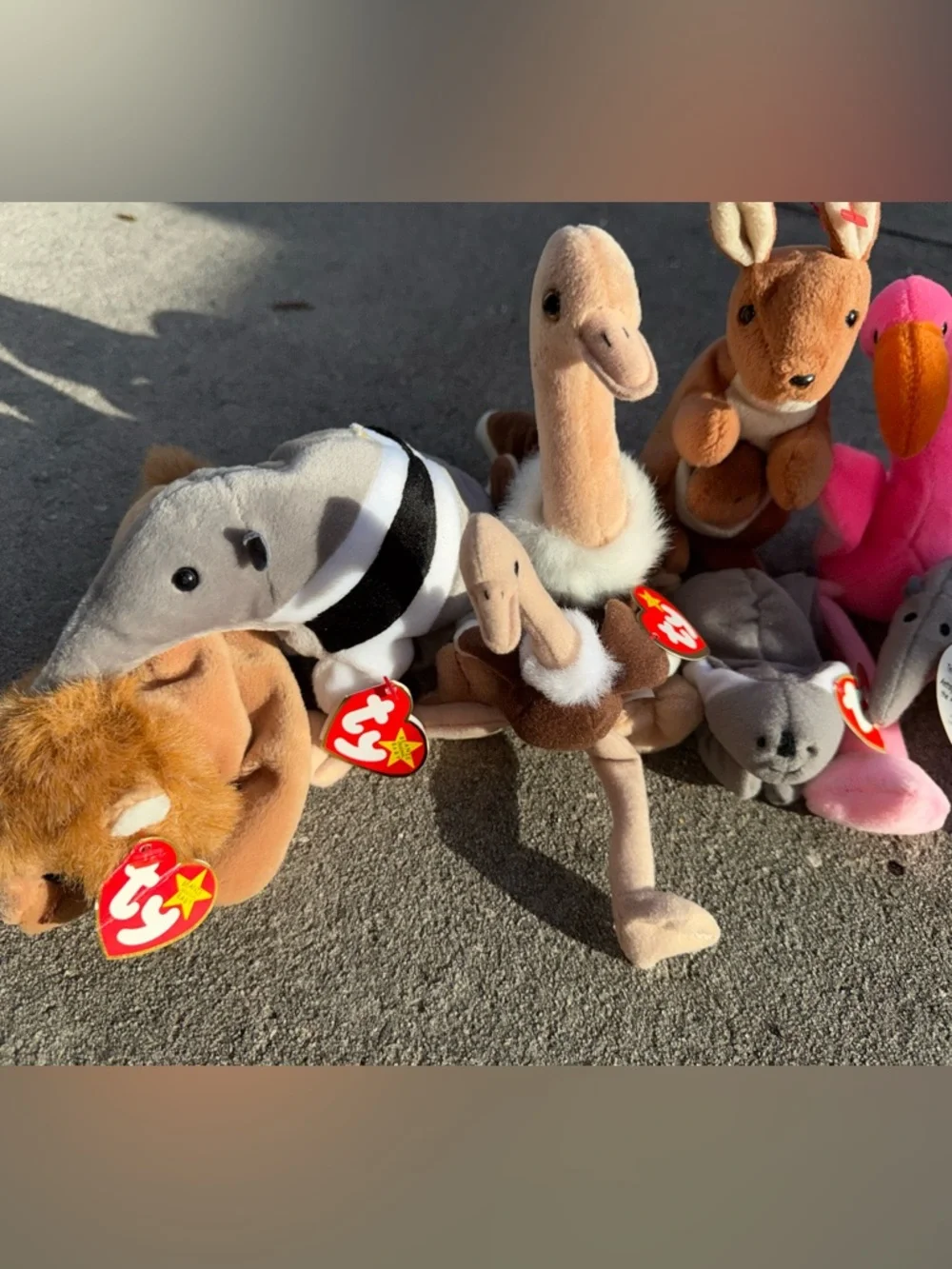 Ty Beanie Babies Bundle Lot 8 Pc w/ Tags Lion Ostrich Kangaroo Flamingo - Picture 3 of 4